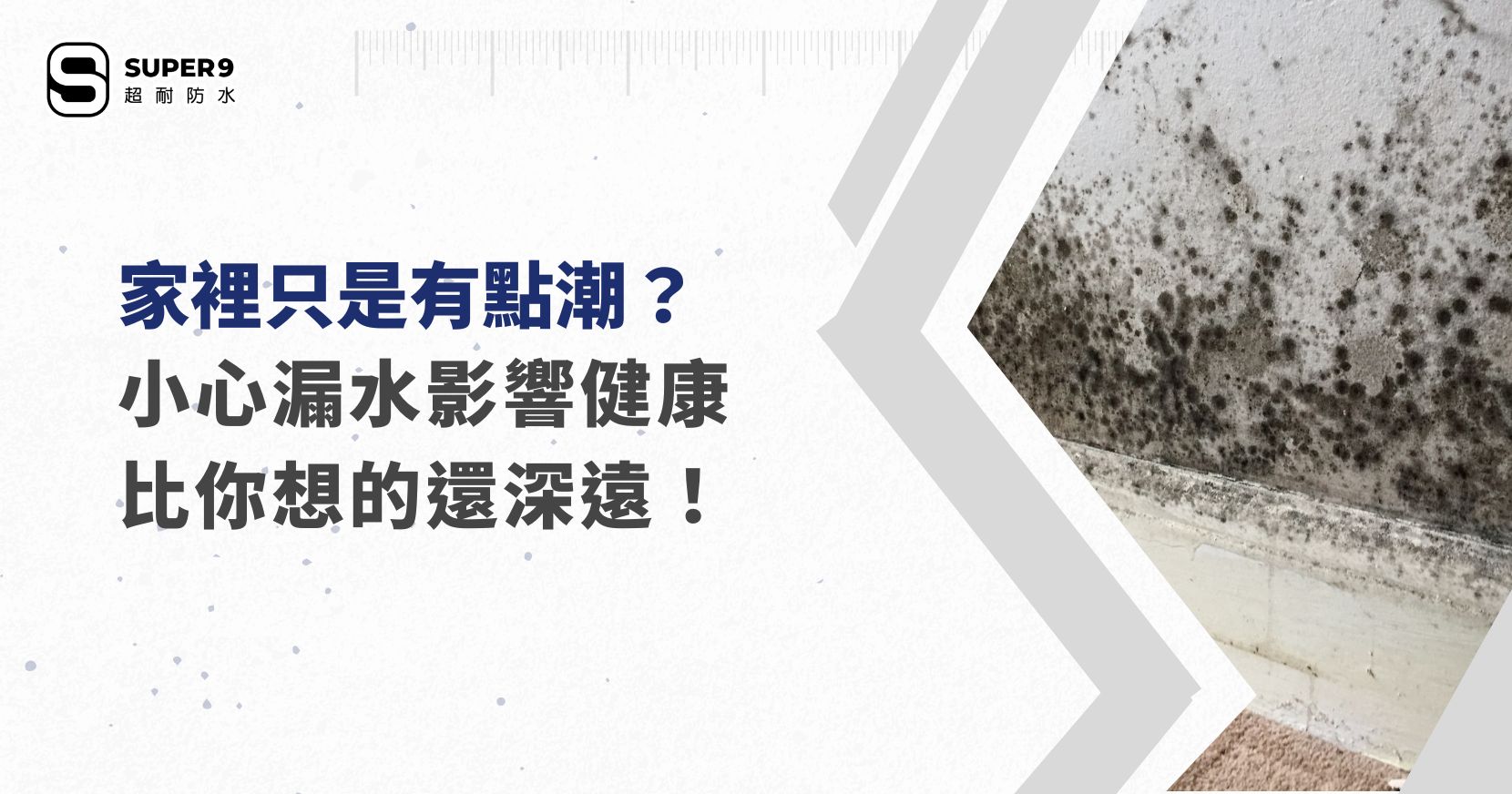 漏水影響健康