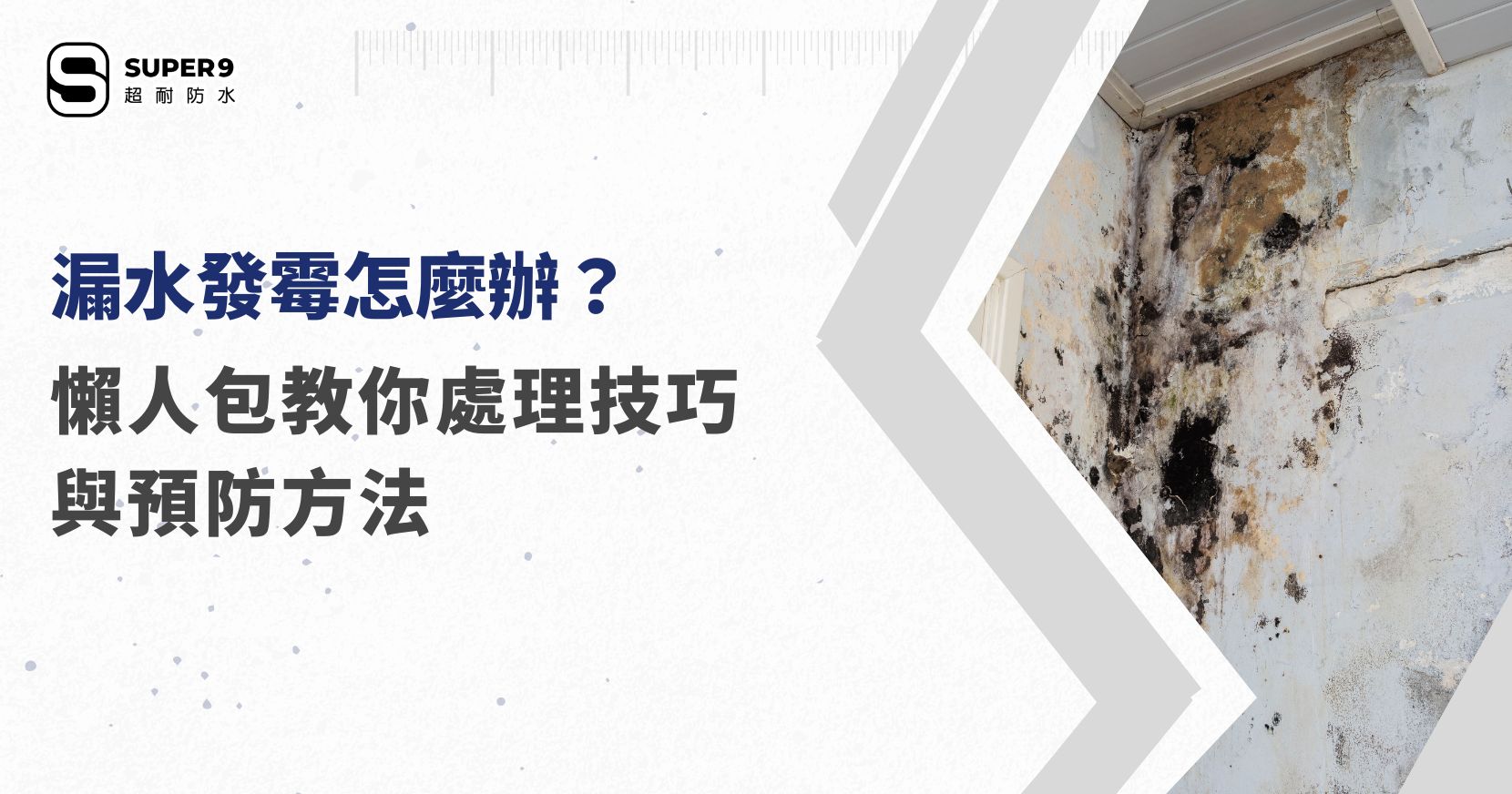 漏水發霉怎麼辦
